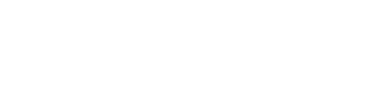 Solutis